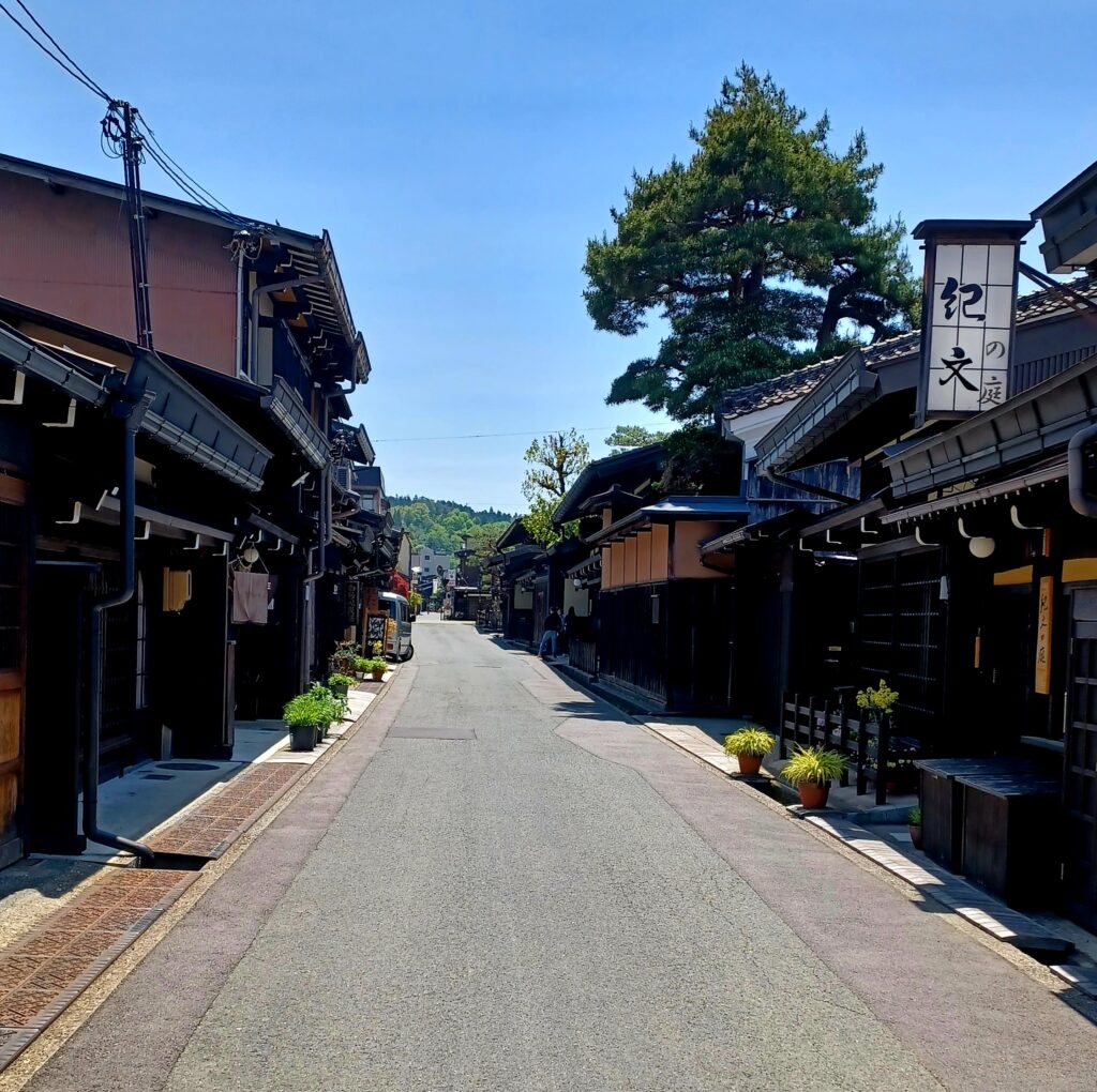 An alleyway of dark brown wooden traditional Japanese style houses. Some have a pot of green plants in front of their door. 