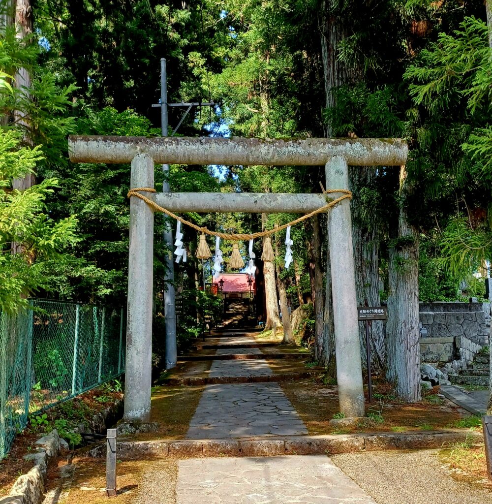 A grey Japanese torii gate with a yellow rope around its top middle part. There are trees on both sides of the pathway leading towards the shrine.