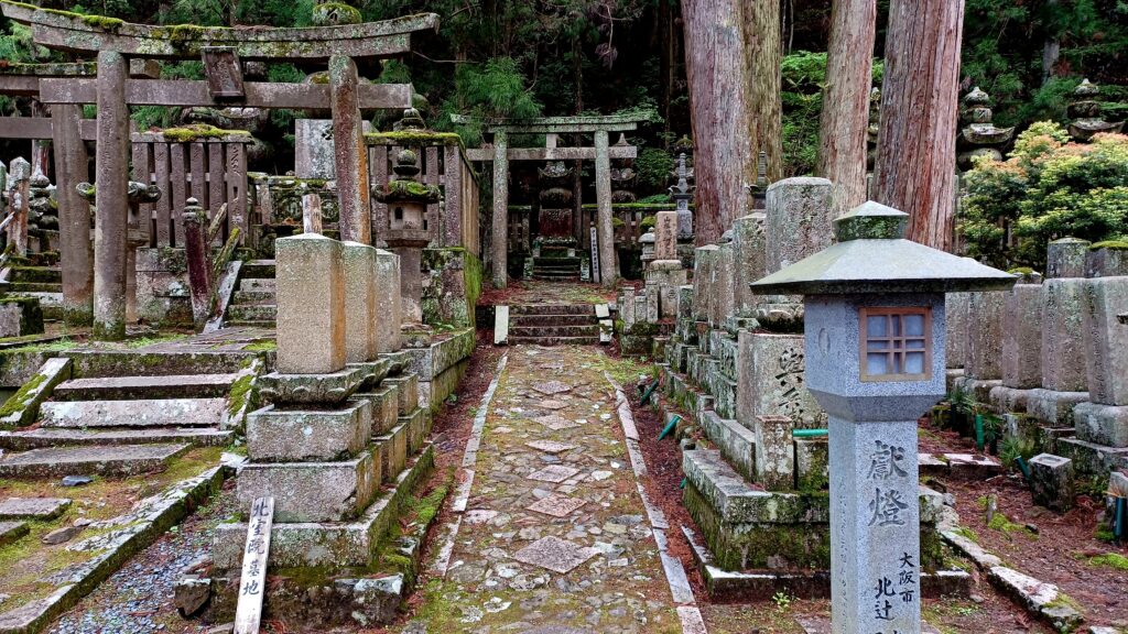 Tombstones with grey torii stone gates in the background. Many of these are covered with moss. There's a stone lantern in front of them as well.