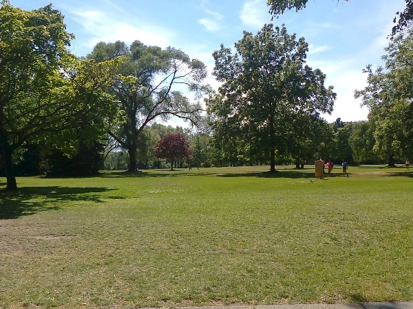 A beautiful green park area, with two large trees, with green leaves. A tree with reddish leaves is in the background.