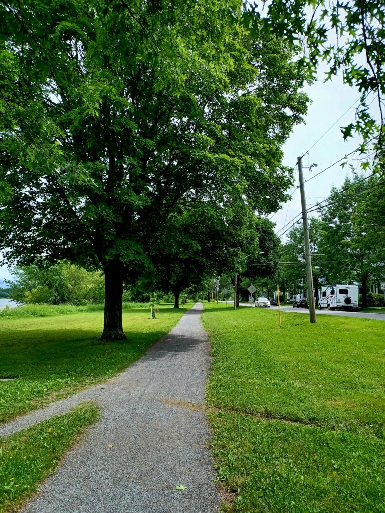 A nice gravel path with a large green tree on the left side. There are grassy areas on both sides of the path.