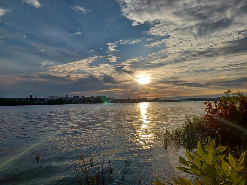 Sunset at Carleton Park with a view of the Wolatoq river and downtown Fredericton. There are plants in the front and right side of the picture as well.