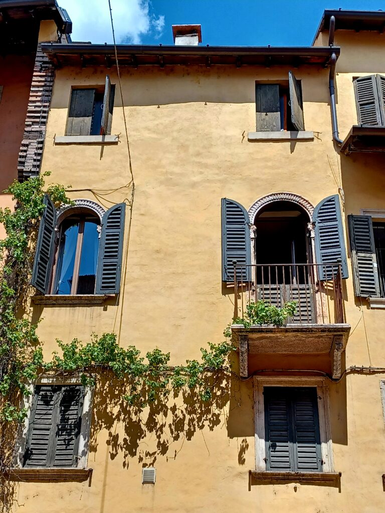 A bright yellow residential building with open and closed blue window shutters and one has a balcony. A long green climbing plant touches the balcony and a window on its left, and 2 windows underneath these windows.