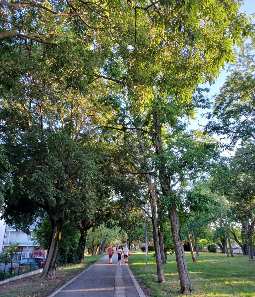 A peaceful park area with a paved pathway in the middle, trees and green areas next to it. There are a few people walking on the path.