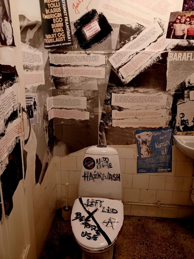 A small stall with a toilet and lots of posters and paper shavings on the walls, talking about Icelandic punk. The white toilet seat is glued shut with black tape and someone wrote in black letters "Lift lid before use" and an anarchy sign. The upper part of the toilet has a sticker of the Punk Museum and someone wrote "Hippie Hairwash" on it!