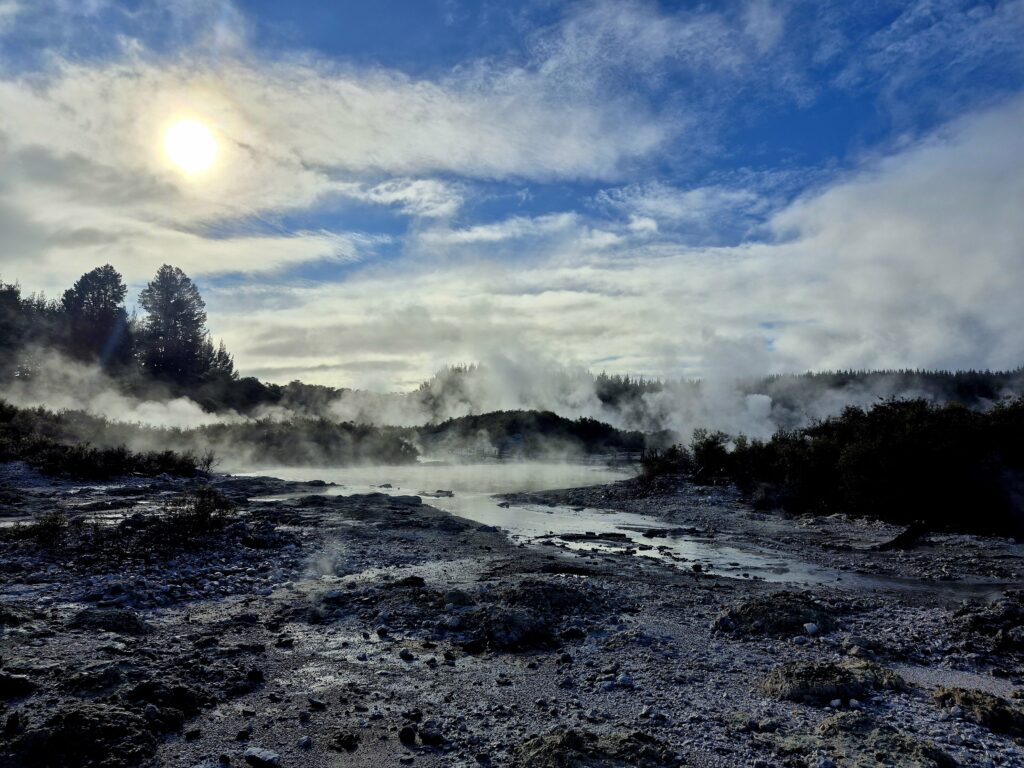 The sun shines brightly over the Hell's Gate mud pool and hot springs near Rotorua.